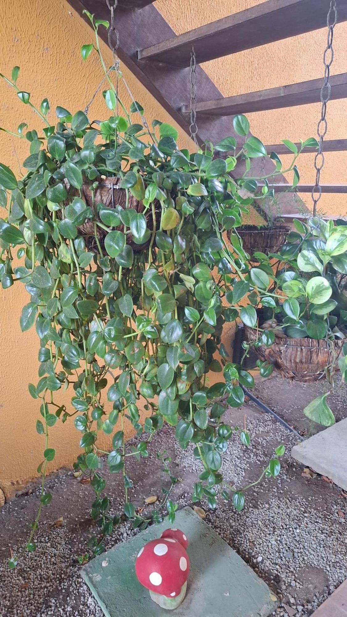 Flat Para 8 Pessoas No Melhor De Gravata Exterior foto